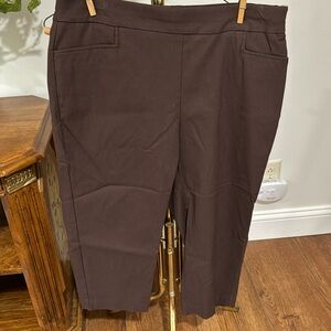 Chicos sz 1.5 brown crops